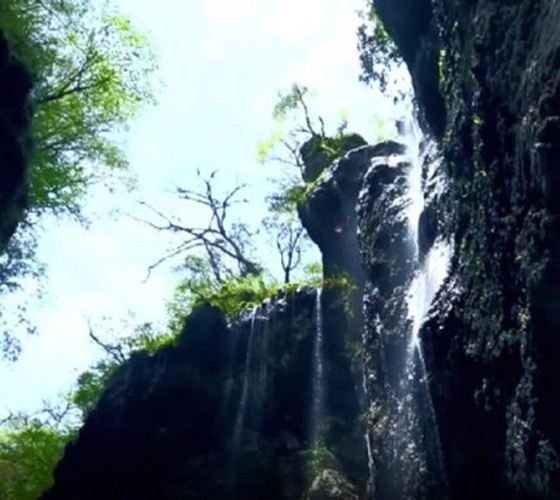 青山綠水，白龍江畔江畔息白鷺，兩岸綠橄欖入眼的都是純樸自然枝上花開(kāi)，春來(lái)水暖魚(yú)蝦戲水，鳥(niǎo)語(yǔ)花香心中充滿(mǎn)著舒暢之感祥宇生態(tài)產(chǎn)業(yè)園，位于隴南市武..